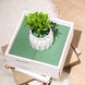 3 Pack | Green Wet Floral Foam Bricks, Flower Arrangement Foam Blocks