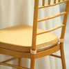 2inch Thick Gold Chiavari Chair Pad, Memory Foam Seat Cushion With Ties and Removable Cover