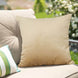2 Pack | 18inch Champagne Soft Velvet Square Throw Pillow Cover