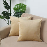 Champagne Soft Velvet Square Throw Pillow Cover - Add Elegance to Your Home Decor