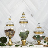 Set of 3 | Large Gold Trim Glass Apothecary Party Favor Candy Jars With Snap On Lids
