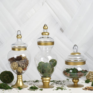 Elegant Gold Trim Glass Apothecary Jars for Stunning Party Decor
