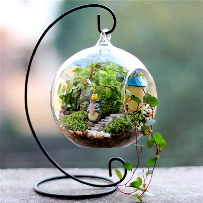 4 Pack | 4inch Air Plant Hanging Glass Globe Terrarium, Free-Falling Elegant Planter