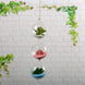 4 Pack | 4inch Air Plant Hanging Glass Globe Terrarium, Free-Falling Elegant Planter