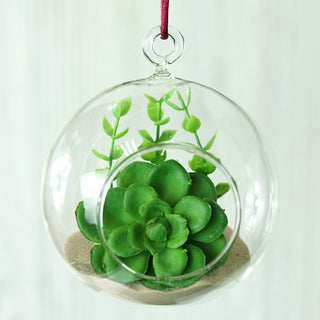 Create a Magical Atmosphere with Glass Terrariums