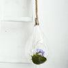 15inch Large Air Plant Hanging Glass Teardrop Terrarium With Twine Rope, Free-Falling Planter