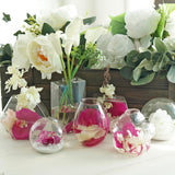 3 Pack | Classic Round Glass Wall Vase | Hanging Glass Terrarium | Indoor Wall Planters