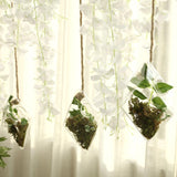 Indoor Wall Planters | Glass Wall Vases | Wall Terrarium | Hanging Planters | Tablecloths Factory