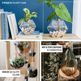 3 Pack | Trapezoid Glass Wall Vase | Indoor Wall Mounted Planters | Hanging Terrariums