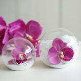 3 Pack | Classic Round Glass Wall Vase | Indoor Wall Mounted Planters | Hanging Terrariums