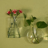 Modish Round Glass Wall Vase | Indoor Wall Mounted Planters | Hanging Terrariums
