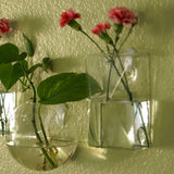 Trapezoid Glass Wall Vase | Indoor Wall Mounted Planters | Hanging Terrariums