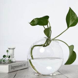 Elegant Clear Round Glass Wall Vase for Indoor Decoration