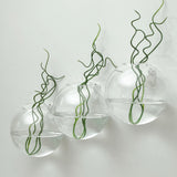 3 Pack | Modish Round Glass Wall Vase | Hanging Glass Terrarium | Indoor Wall Planters