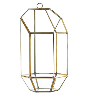 10" Heptagon Prism Gold Metal Geometric Glass Terrarium