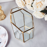 10 inch Heptagon Prism Gold Metal Geometric Glass Terrarium, Multipurpose Air Plants Holder
