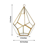 9inch Hanging Gold Metal Frame Glass Geometric Teardrop Terrarium, Self Standing Air Plant Holder
