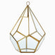 Hanging Gold Metal Frame Glass Geometric Teardrop Terrarium, Self Standing Air Plant Holder#whtbkgd