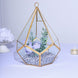 9inch Hanging Gold Metal Frame Glass Geometric Teardrop Terrarium, Self Standing Air Plant Holder