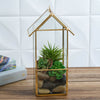 11 inch House Lantern Hanging Gold Metal Geometric Glass Terrarium, Multipurpose Air Plants Holder