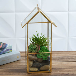 Multipurpose Air Plants Holder with Regal Flair