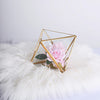 9inch Diamond Prism Hanging Gold Metal Geometric Glass Terrarium, Multipurpose Air Plants Holder 