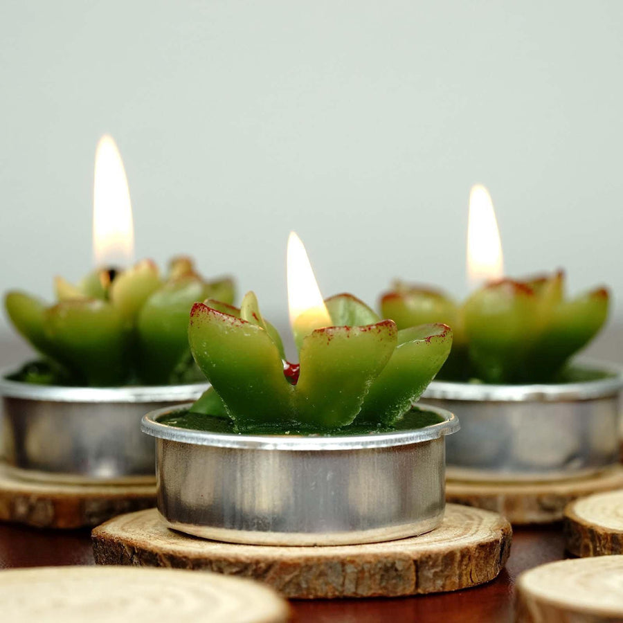 6 Pack | Gift Wrapped Echeveria Cactus Tea Light Candle Wedding Favors With Thank You Tag