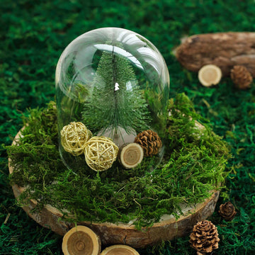 50g Green Preserved Natural Reindeer Moss Grass, DIY Craft Decoration