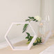 2 Pack | 9Inch Hexagon Whitewashed Wood Centerpiece, Geometric Terrarium, Honeycomb Storage Shelf