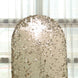 7ft Sparkly Champagne Double Sided Big Payette Sequin Chiara Backdrop Stand Cover For Fitted Round