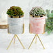 8" Pink | White Marble Swirl Ceramic Flower Pot Succulent Planter with Metal Gold Stand