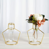 2 Pack | 6.5inch Geometric Gold Metal Frame Test Tube Vase Flower Stands