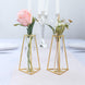 2 Pack | 6inch Triangular Gold Metal Frame Test Tube Bud Vases, Mini Geometric Wedding Centerpieces