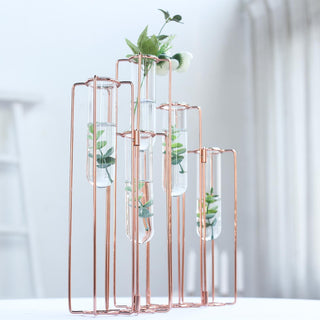 Elegant Rose Gold Frame Test Tube Hydroponic Vases