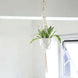 2 Pack | Ivory Macrame Indoor Hanging Planter Basket Cotton Ropes