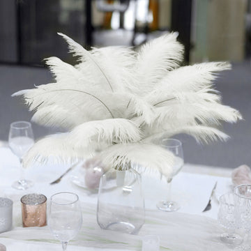 12 Pack | 13"-15" Ivory Natural Plume Real Ostrich Feathers, DIY Centerpiece Fillers