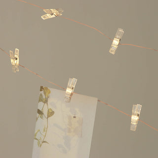 Versatile and Durable LED Fairy String Lights