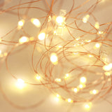 32ft Warm White 100 LED Clear Photo Clip Fairy String Light Garland#whtbkgd