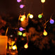 16ft | 50 Colorful Frosted Bulb Remote Battery LED Fairy String Lights