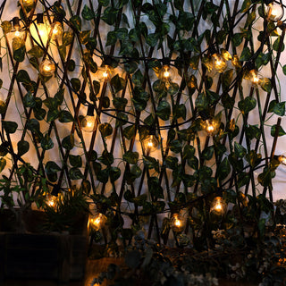 Versatile and Durable Outdoor and Indoor String Lights