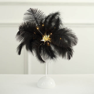 Stunning Black LED Ostrich Feather Table Lamp