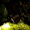 6W Warm White LED Backdrop Uplight, Outdoor Waterproof Landscape Spotlight