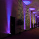 6W Purple LED Backdrop Uplight, Outdoor Waterproof Landscape Spotlight