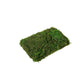 50g/Bag Green Preserved Natural Reindeer Moss