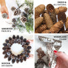Pack of 9 | Natural Pine Cones and Barks Assorted Potpourri Vase Fillers Bowl DIY Table Decorations