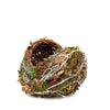 Set of 2 | Rustic Twigs & Moss Planter Box Bird Nest - 10" & 8"