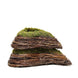 Set of 2 | Natural Twig Green Heart Preserved Moss Planter Box - 14" & 11"