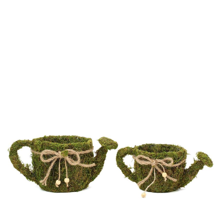 Set of 2 | Preserved Moss Watering Can Planter Box with Natural Braided Twine Bow - 11" & 10"