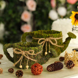 Set of 2 | Preserved Moss Watering Can Planter Box with Natural Braided Twine Bow - 11" & 10"