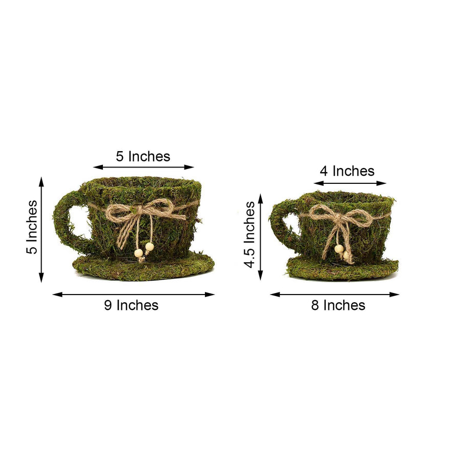 Set of 2 | Preserved Moss Teacup Planter Box with Natural Braided Twine Bow - 5" & 4"